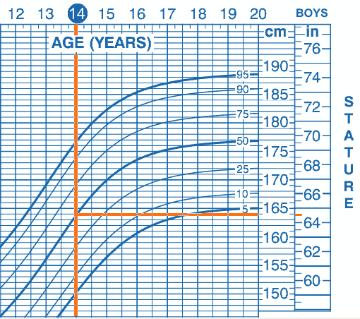 Average Height For A 14 year old Boys Height Average