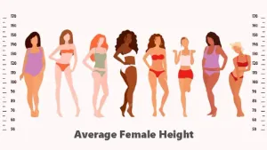 Average Female Height