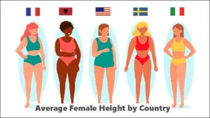 Average Female Height Across the World